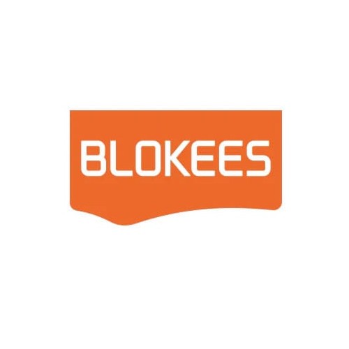 Transformers Blokees Plastic Model Kit Classic Class 12 Megatron