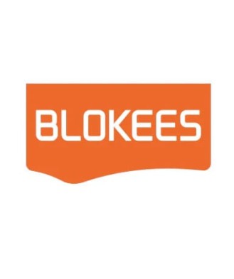 Transformers Blokees Plastic Model Kit Classic Class 14...