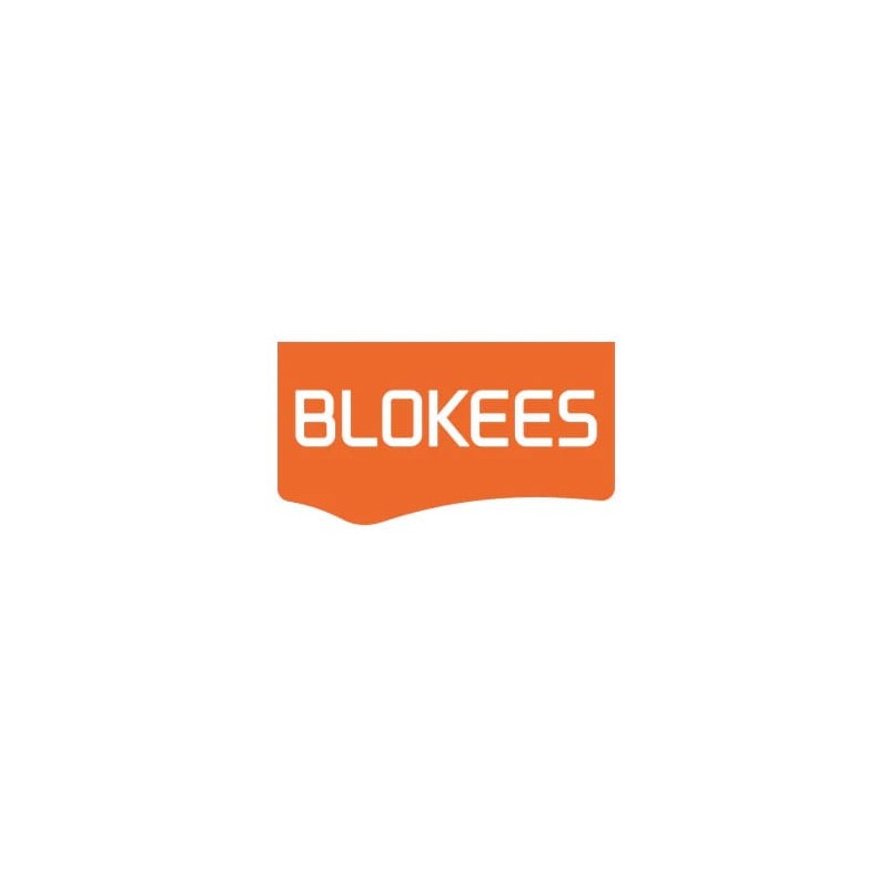 Transformers Blokees Plastic Model Kit Classic Class 14 Sentinel Prime