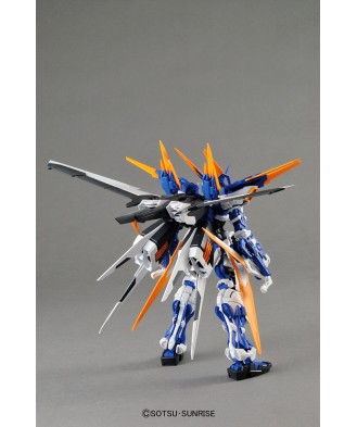 1/100 MG Gundam Astray Blue Frame D