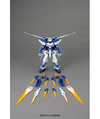 1/100 MG Gundam Astray Blue Frame D