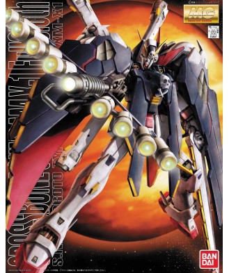 Crossbone Full Cloth (MG) 1/100 (model kit)