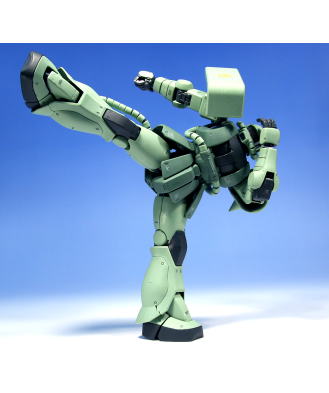 1/100 MG MS-06J ZAKU II Ver. 2.0 (model kit)