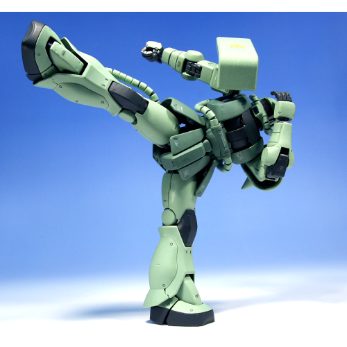 1/100 MG MS-06J ZAKU II Ver. 2.0 (model kit)