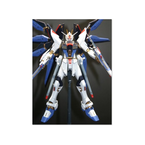 1/100 MG Strike Freedom Gundam