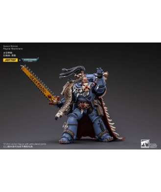 Warhammer 40k Action Figure 1/18 Space Wolves Ragnar Blackmane 13 cm