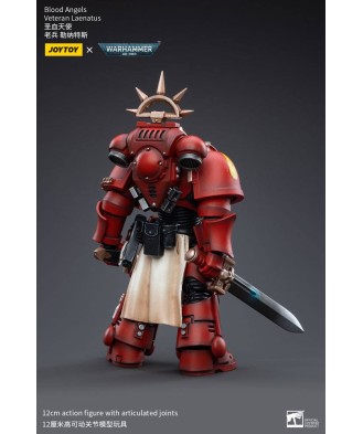 Warhammer 40k Action Figure 1/18 Blood Angels Veteran Laenatus 12 cm