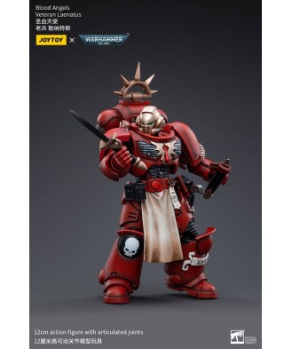 Warhammer 40k Action Figure 1/18 Blood Angels Veteran Laenatus 12 cm