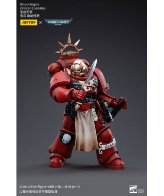 Warhammer 40k Action Figure 1/18 Blood Angels Veteran Laenatus 12 cm