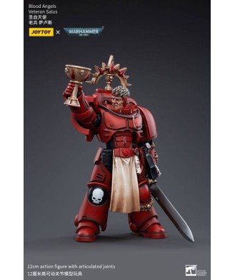 Warhammer 40k Action Figure 1/18 Blood Angels Veteran Salus 12 cm