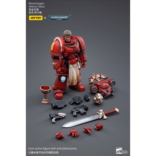 Warhammer 40k Action Figure 1/18 Blood Angels Veteran Salus 12 cm