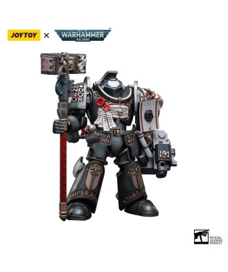 Warhammer 40k Action Figure 1/18 Grey Knights Terminator Caddon Vibova 13 cm
