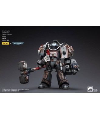 Warhammer 40k Action Figure 1/18 Grey Knights Terminator Caddon Vibova 13 cm