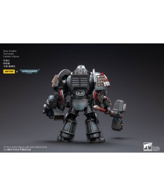 Warhammer 40k Action Figure 1/18 Grey Knights Terminator Caddon Vibova 13 cm