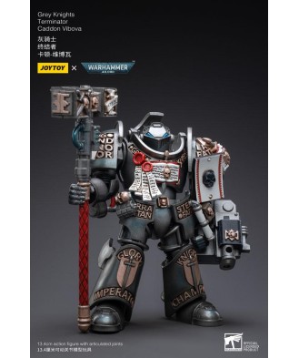 Warhammer 40k Action Figure 1/18 Grey Knights Terminator Caddon Vibova 13 cm