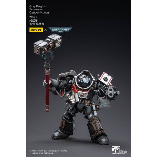 Warhammer 40k Action Figure 1/18 Grey Knights Terminator Caddon Vibova 13 cm