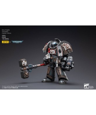 Warhammer 40k Action Figure 1/18 Grey Knights Terminator Caddon Vibova 13 cm