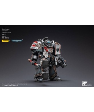Warhammer 40k Action Figure 1/18 Grey Knights Terminator Caddon Vibova 13 cm