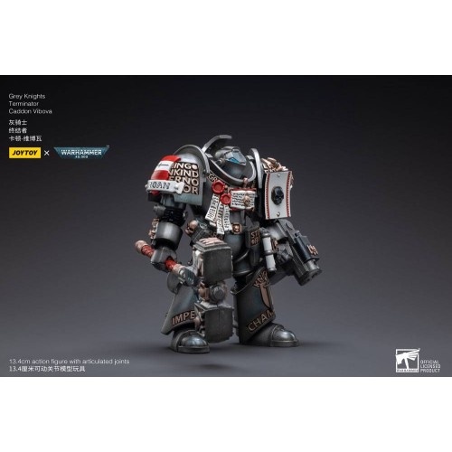 Warhammer 40k Action Figure 1/18 Grey Knights Terminator Caddon Vibova 13 cm