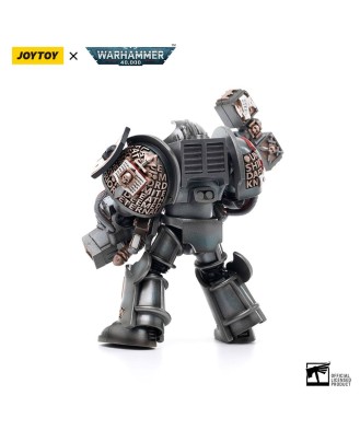 Warhammer 40k Action Figure 1/18 Grey Knights Terminator Caddon Vibova 13 cm