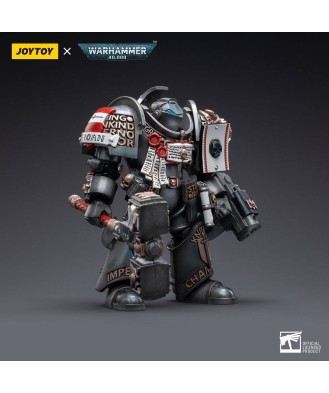 Warhammer 40k Action Figure 1/18 Grey Knights Terminator Caddon Vibova 13 cm