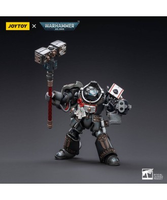 Warhammer 40k Action Figure 1/18 Grey Knights Terminator Caddon Vibova 13 cm