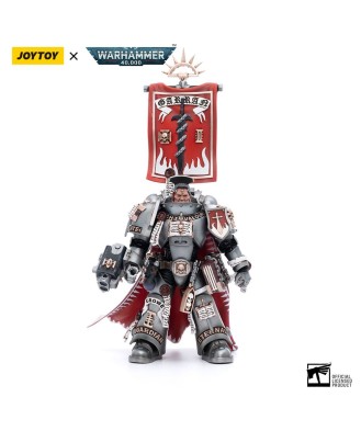 Warhammer 40k Action Figure 1/18 Grey Knights Castellan Crowe 12 cm