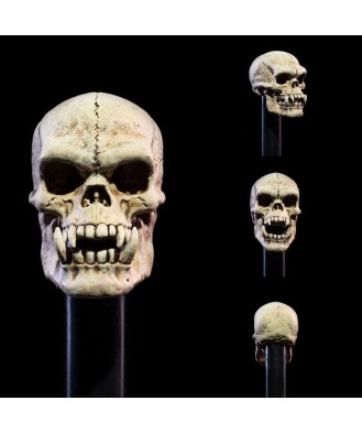 Mythic Legions: All Stars 6 Action Figure Accessorys Undead Heads Pack