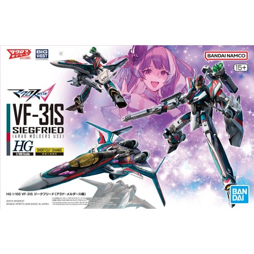1/100 HG VF-31S Siegfried (Arad Molders')