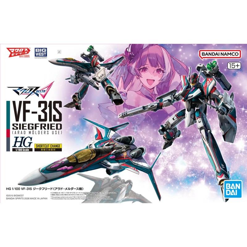 1/100 HG VF-31S Siegfried (Arad Molders')