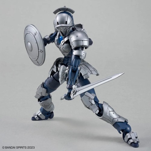 30MF Rosan Swordman